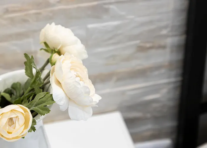 Sa Lughe Wi-fi Free *